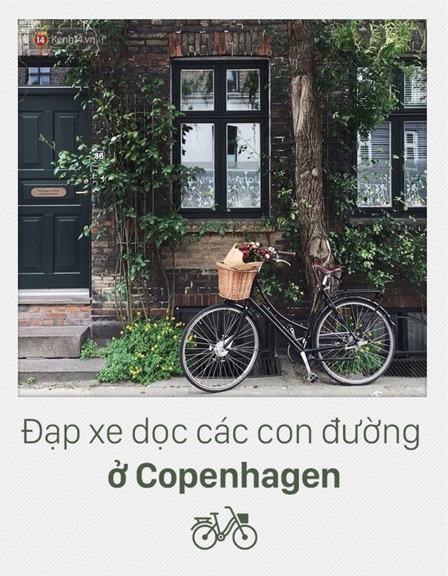 - Ảnh 12.