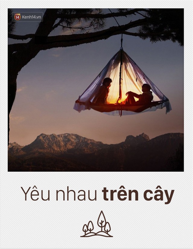 - Ảnh 3.