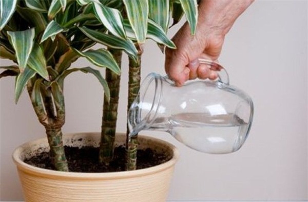 Đây là lí do để bạn ngưng đun sôi lại nước đã nấu chín - Ảnh 2.