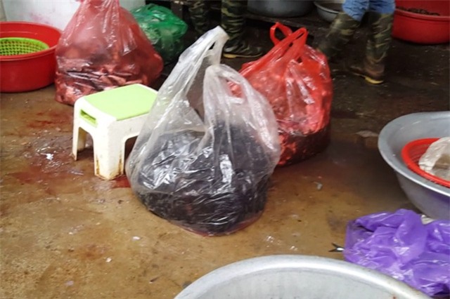 cá ươn, chợ đầu mối, cá ươn giá rẻ, quán ăn, bún cá, chợ Dịch Vọng Hậu, cá thối