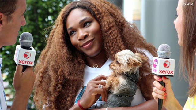 Chơi trội ăn đồ của chó, Serena Williams nhận kết cục đắng lòng - Ảnh 3.