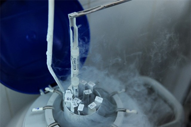 Nguy co bong lanh tu mon kem may, snack khoi hinh anh 2