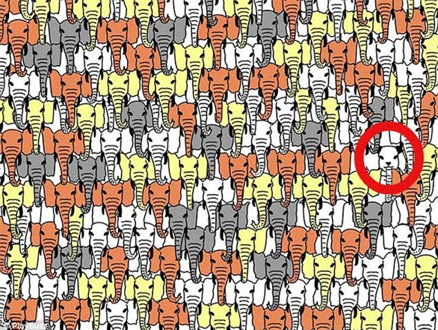 Những câu đố khiến bạn phải căng mắt nhìn, suy nghĩ “xoắn não”! - Ảnh 17.