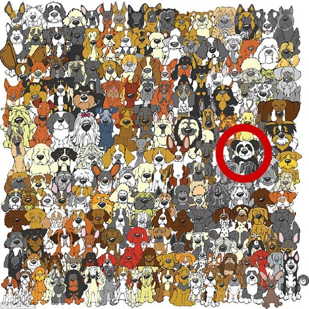 Những câu đố khiến bạn phải căng mắt nhìn, suy nghĩ “xoắn não”! - Ảnh 18.