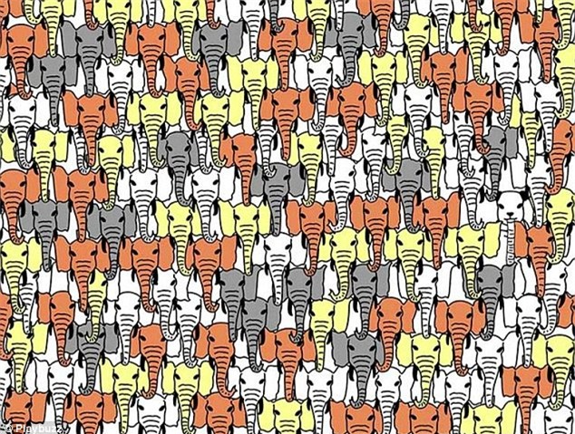 Những câu đố khiến bạn phải căng mắt nhìn, suy nghĩ “xoắn não”! - Ảnh 6.