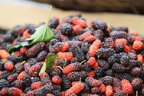 nhung luu y khi su dung qua dau tam lam do uong ngay he - 1