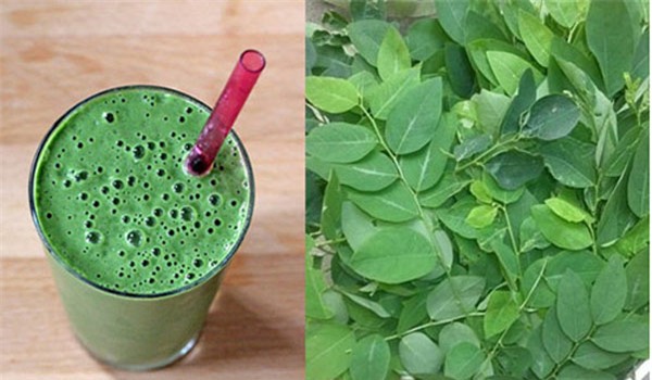 rau-ngot-blogtamsuvn (1)