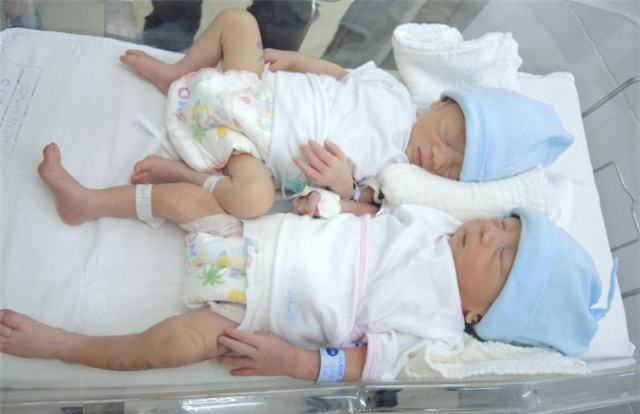 mang thai hộ, sinh đôi, hiếm muộn