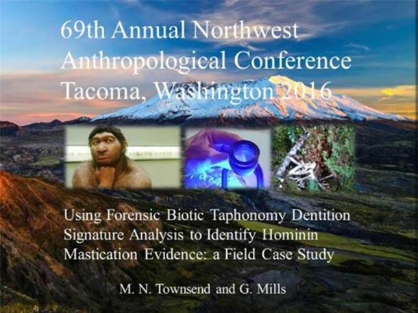 Phát hiện dấu vết của Bigfoot sau trận động đất khủng khiếp? - Ảnh 4.