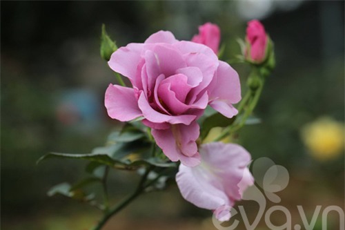 chang trai 8x bo pho ra ngoai o lam 