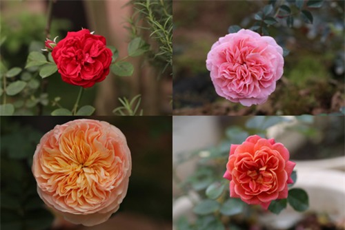 chang trai 8x bo pho ra ngoai o lam 