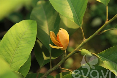 chang trai 8x bo pho ra ngoai o lam 