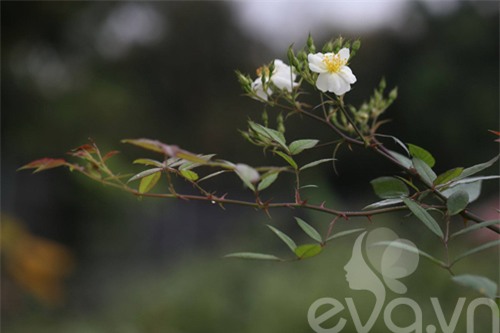 chang trai 8x bo pho ra ngoai o lam 