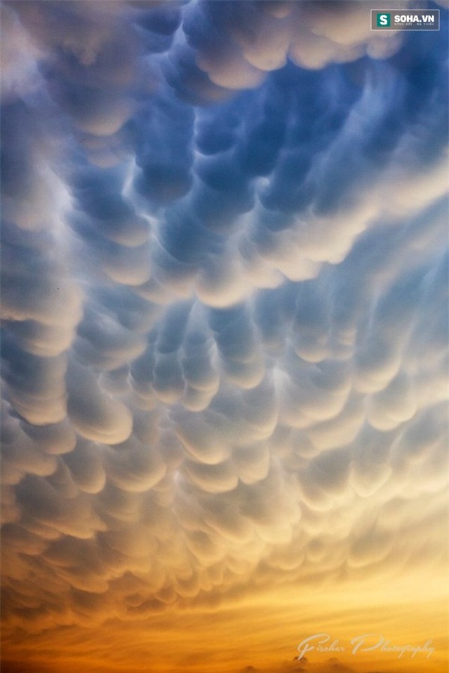 Kinh hãi với cuộn mây khổng lồ, vần vũ trên bầu trời Mỹ - Ảnh 1.