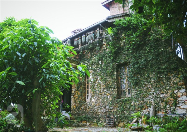 Khu vườn, hoa hồng, Hà Nội, ban công, vườn hoa, vườn rau, rau sạch, sân thượng, nhà chật