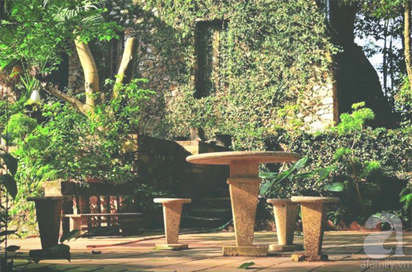 Khu vườn, hoa hồng, Hà Nội, ban công, vườn hoa, vườn rau, rau sạch, sân thượng, nhà chật