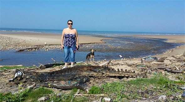 quái vật biển, xác quái vật