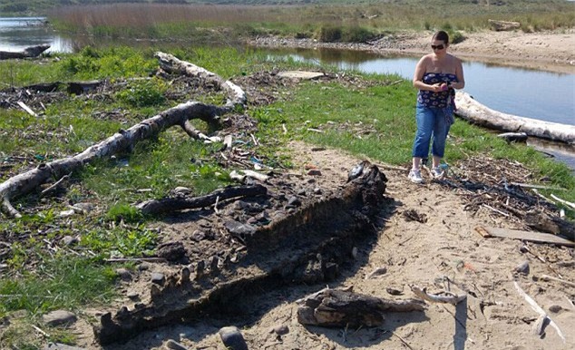 quái vật biển, xác quái vật