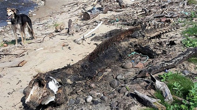 quái vật biển, xác quái vật