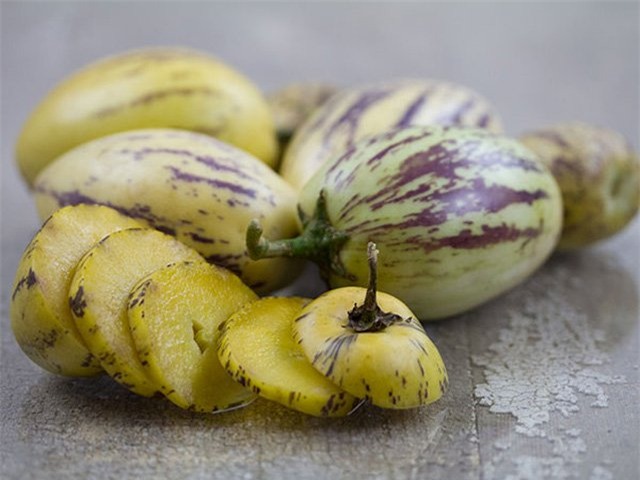 dua pepino duoc chi em rao riet “san lung” trong the nao? hinh anh 19