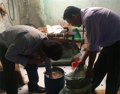 giá đỗ, thuốc kích thích, giá sạch, giá sử dụng hóa chất