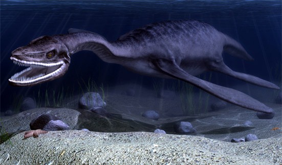 Thuồng luồng - Quái vật đáng sợ nhất dân gian Việt Nam thực chất là con gì? - Ảnh 2.