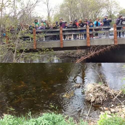 bai hoc khong-the-thieu cua tre mam non o my, nhat - 4