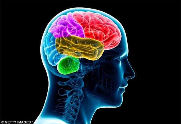 Bạn sẽ thấy việc căng thẳng và bận rộn cũng không quá tệ nhờ phát hiện này - Ảnh 2.