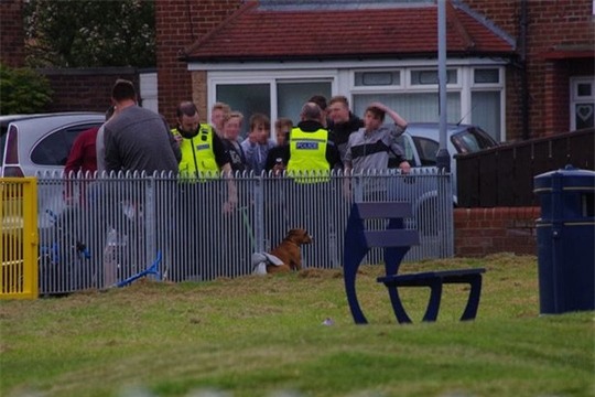 Chú chó đã bị khống chế sau đó. Ảnh: Mirror