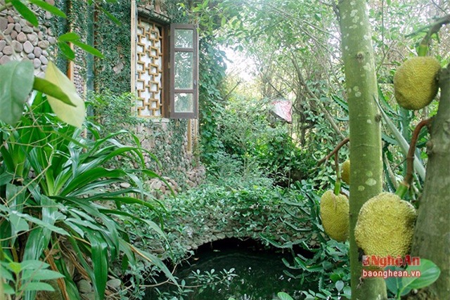 biệt thự sỏi, biệt thực, Nghệ An, Biệt thự xây bằng sỏi, xứ Nghệ