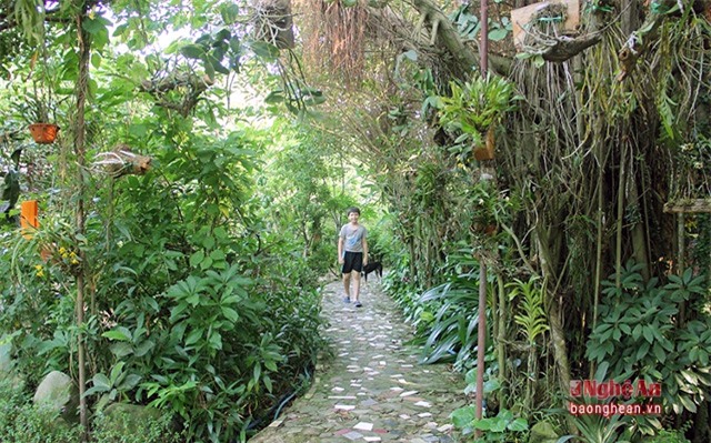 biệt thự sỏi, biệt thực, Nghệ An, Biệt thự xây bằng sỏi, xứ Nghệ