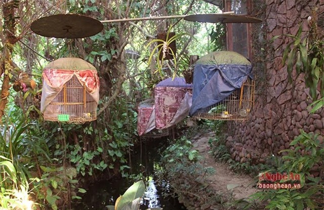 biệt thự sỏi, biệt thực, Nghệ An, Biệt thự xây bằng sỏi, xứ Nghệ