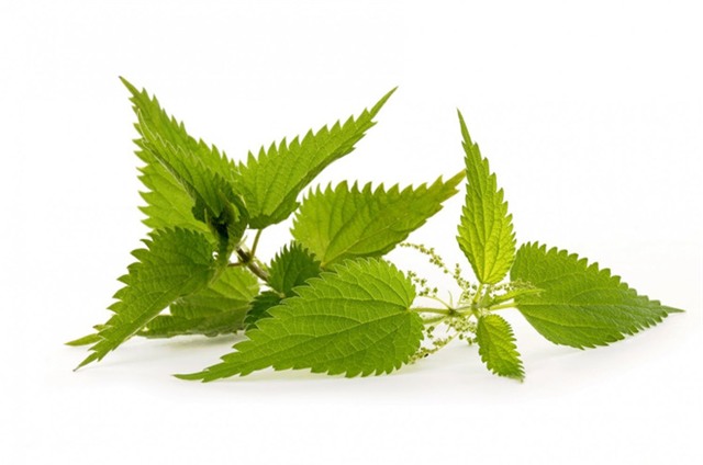 10 cách đơn giản để đặc trị những ông chồng hay ngủ ngáy! - Ảnh 4.