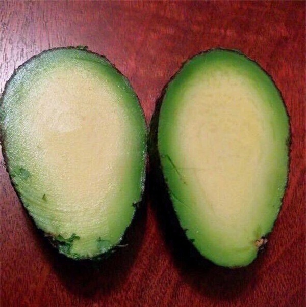 3. Quả bơ không có hạt.