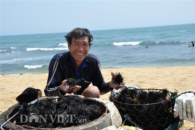 Nhum biển, tiến vua, tiền tỷ, đặc sản, hải sản, ngư dân, thần dược, bắt được