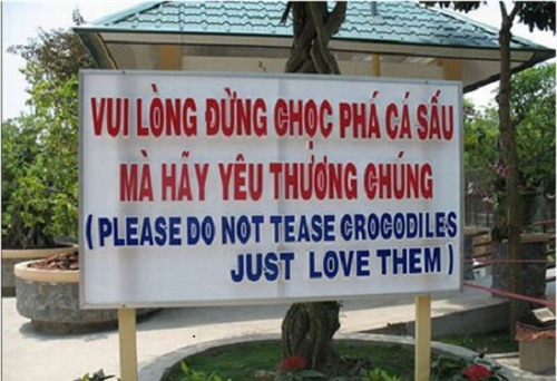 Cá sấu là để yêu thương.