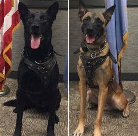 Obama thăm Việt Nam, Obama đến Việt Nam, Obama, tổng thống Obama, tổng thống Mỹ, Barack Obama