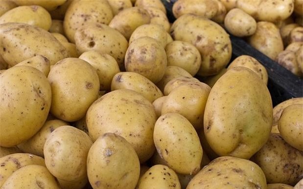 Ăn quá nhiều khoai tây làm tăng nguy cơ cao huyết áp - Ảnh 2.