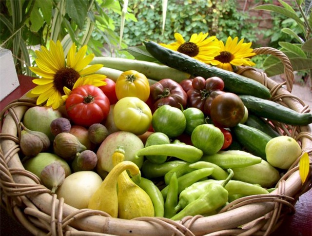Gia đình này thu hoạch hơn 2 tấn rau sạch mỗi năm! - Ảnh 3.