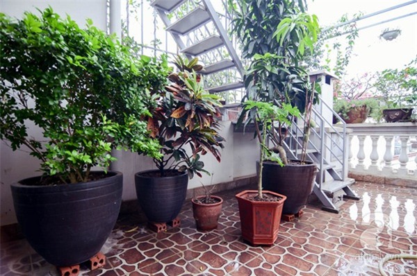 khu-vuon-2-tầng-rong-gan-100m2-ai-cung-doi-len-xem