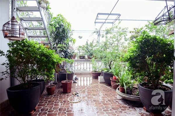 khu-vuon-2-tầng-rong-gan-100m2-ai-cung-doi-len-xem