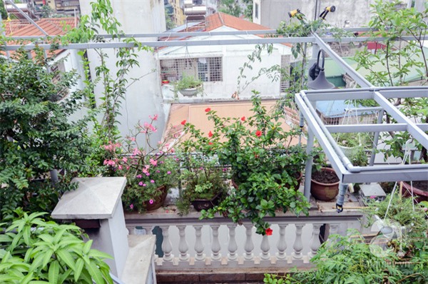 khu vườn 2