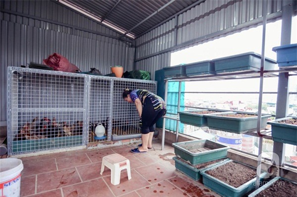 vuon-cay-rong-gan-100m2-ai-cung-muon-len-xem