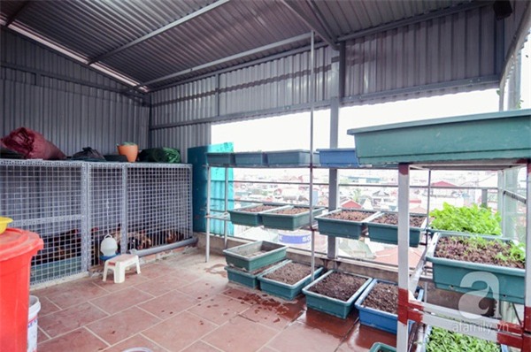 vuon-cay-rong-gan-100m2-ai-cung-muon-len-xem