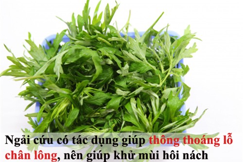 tam biet mui hoi nach kho chiu ngay he - 4