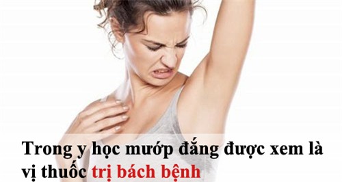 tam biet mui hoi nach kho chiu ngay he - 7