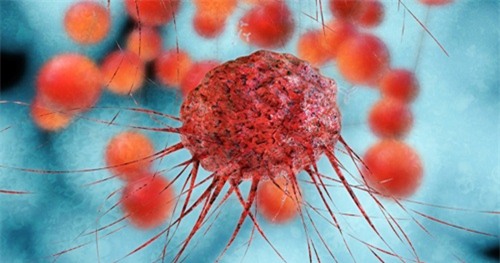 Điều trị ung thư bằng tế bào miễn dịch của người khác - 1