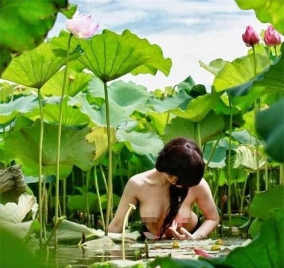 Mùa sen sắp tới, hy vọng các nàng xinh đẹp không đãi chúng ta những cảnh nhức mắt này