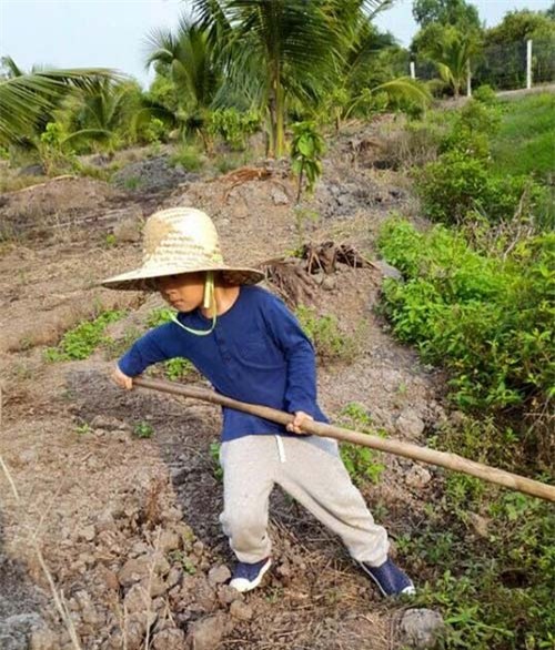 nhung sao viet khien dan mang tam tac vi nuoi con kheo - 6