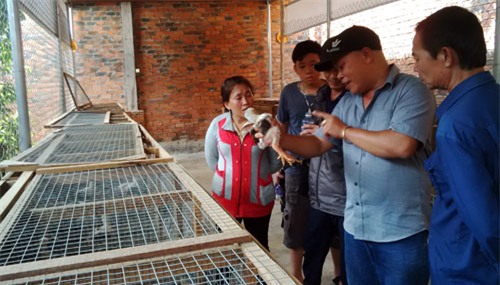 “ong trum ga dong tao” o dat dong nai hinh anh 2